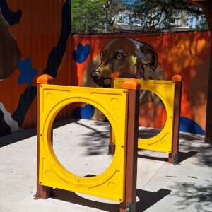 Círculos para salto